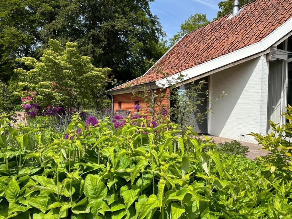 Haystackcottage Paterswolde Exterior photo