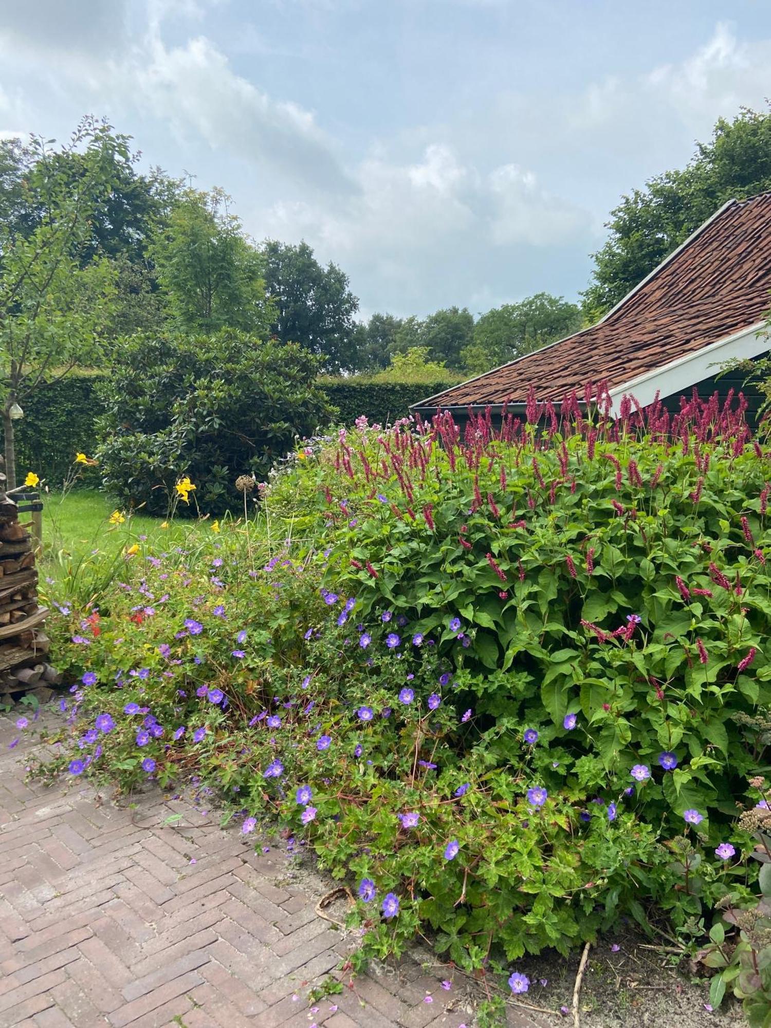 Haystackcottage Paterswolde Exterior photo